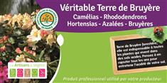 Terre de bruyère véritable