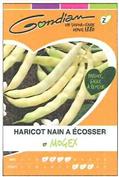 HARICOT NAIN A ECOSSE MOGEX